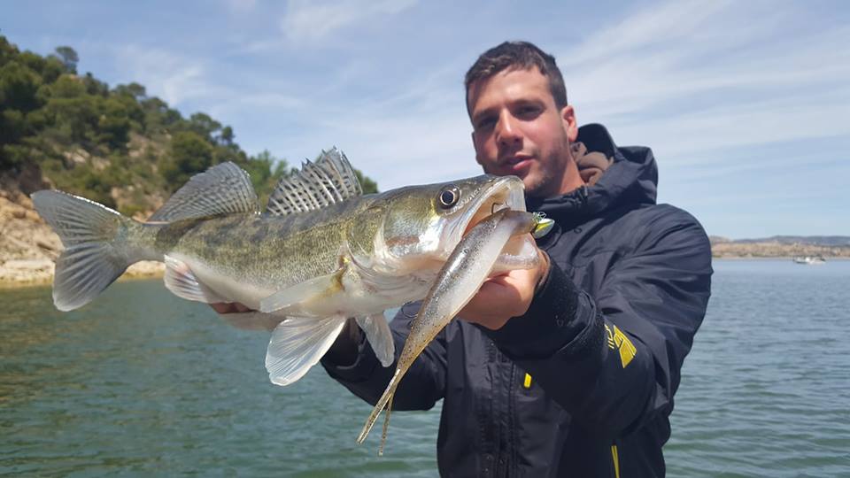 Pêche au sandre : comment leurrer ce poisson difficile ?