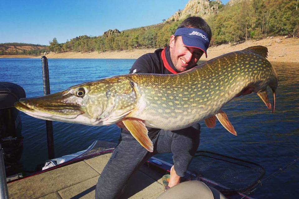 Fish & Ship : la nouvelle boutique pêche signée Sylvain Legendre