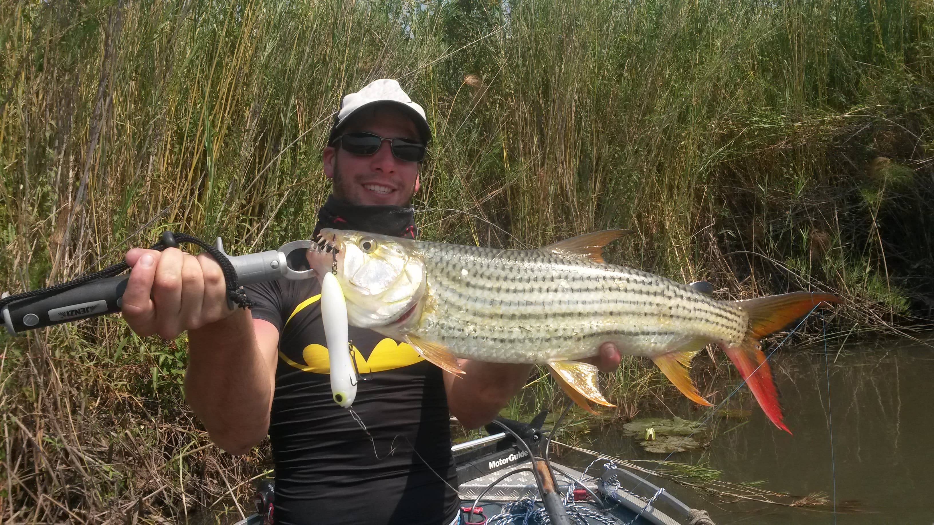 Comment pêcher le Tigerfish ?