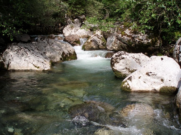 Pêche à la truite en Savoie et Haute-Savoie
