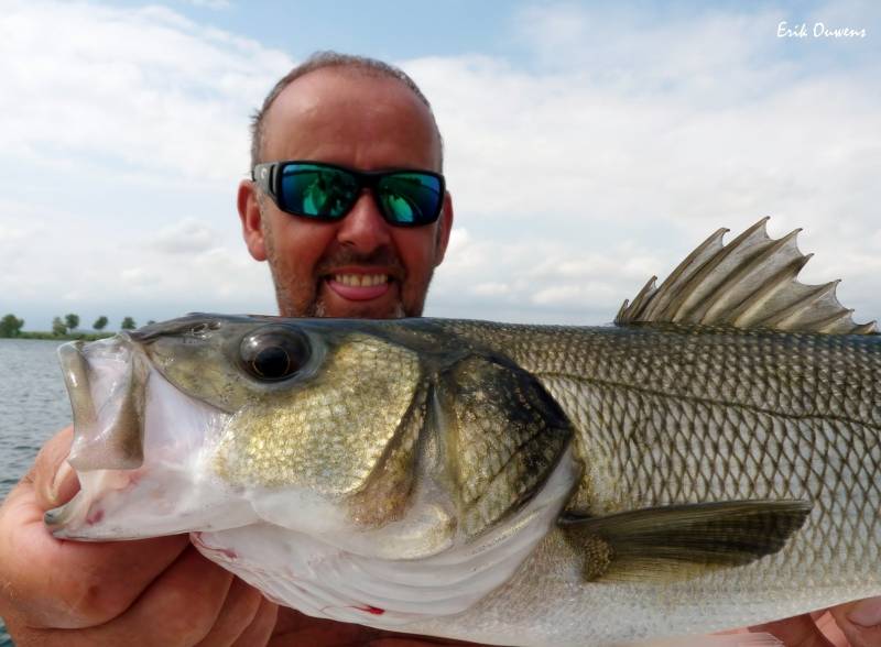 Pêche au bar en Espagne