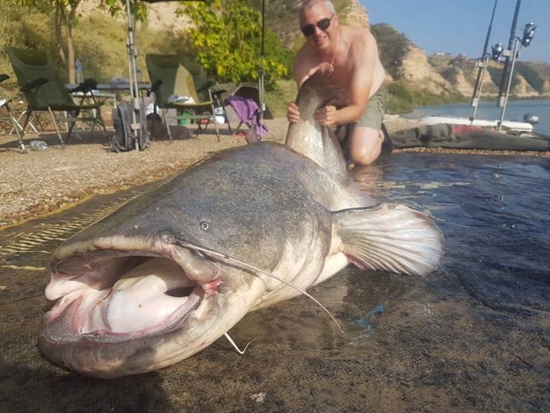 Pêche aux Silures à Méquinenza OCP CAMP