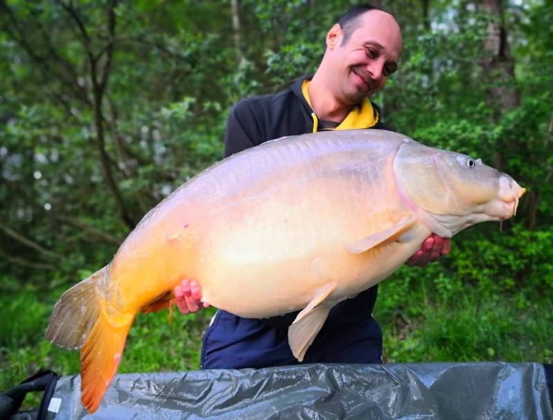 Pêche de la carpe dans le Jura
