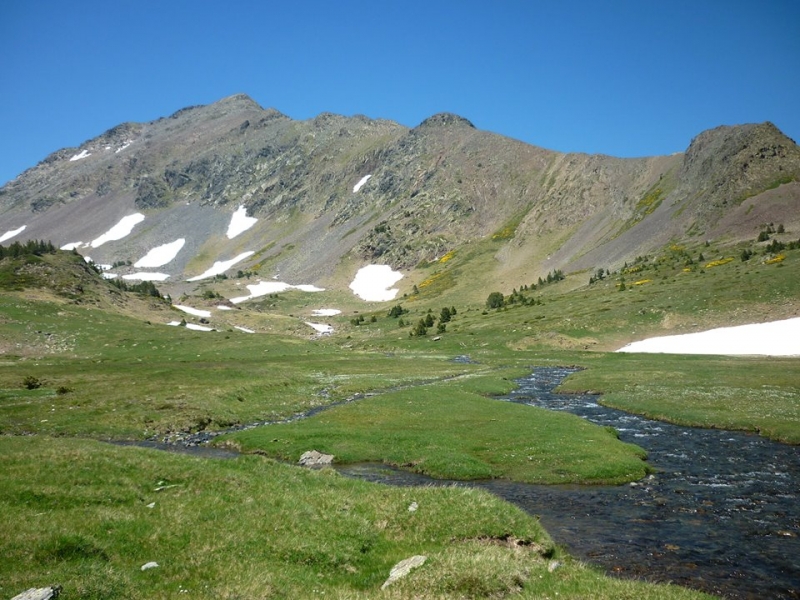 Pêche de la truite en lac de montagne à la mouche