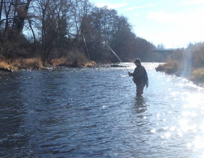 Pêche de l’ombre de l’Allier