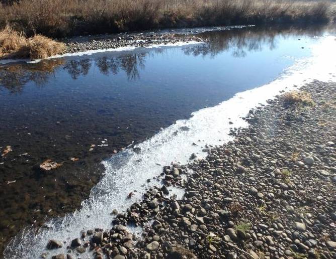 Pêche de l’ombre de l’Allier