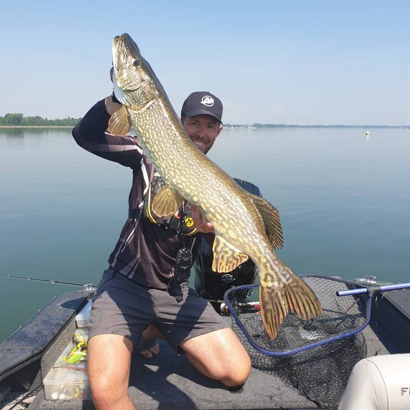 Pêche des carnassiers en Alsace-1