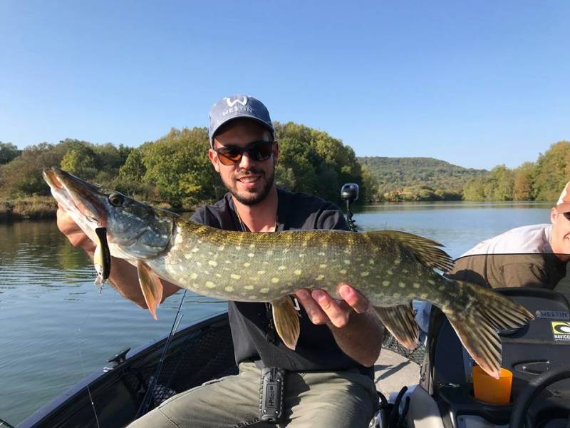 Pêche des carnassiers en Moselle
