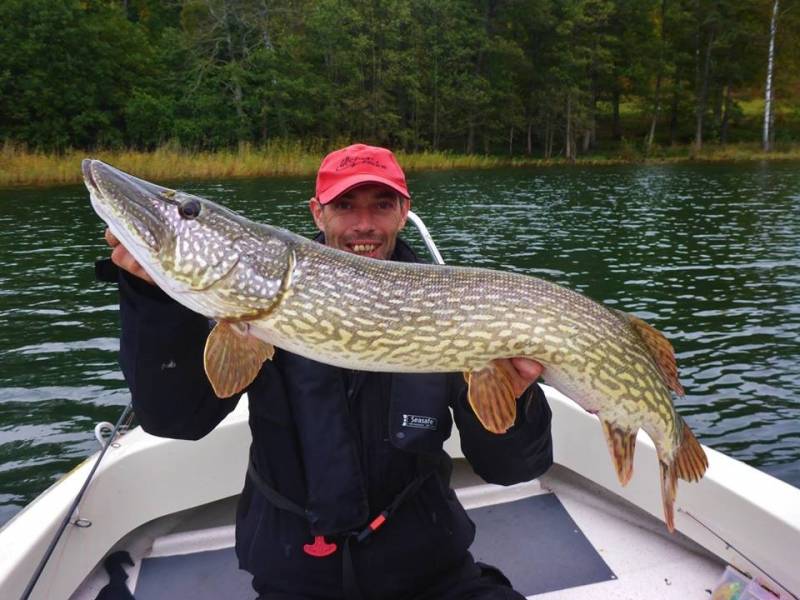 Pêche des carnassiers en Suède à Västervik
