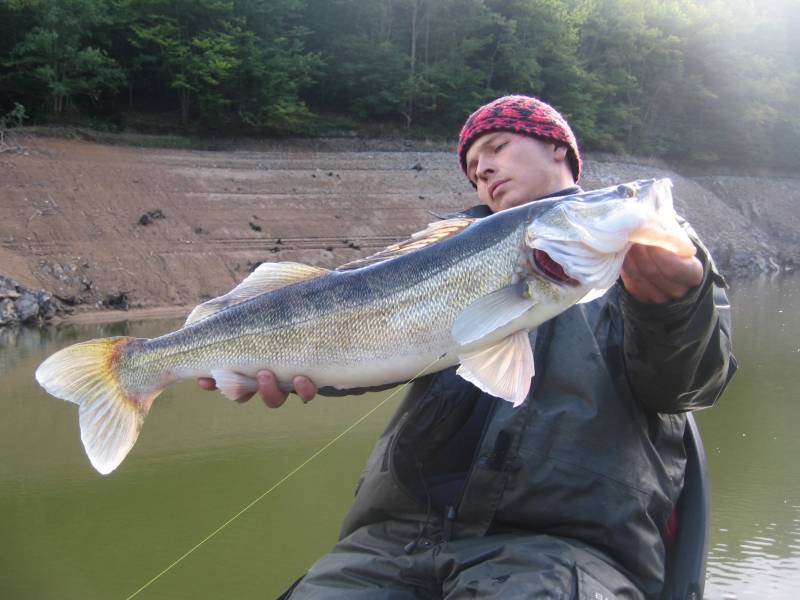 Pêche des carnassiers sur les lacs de barrage du Massif Central
