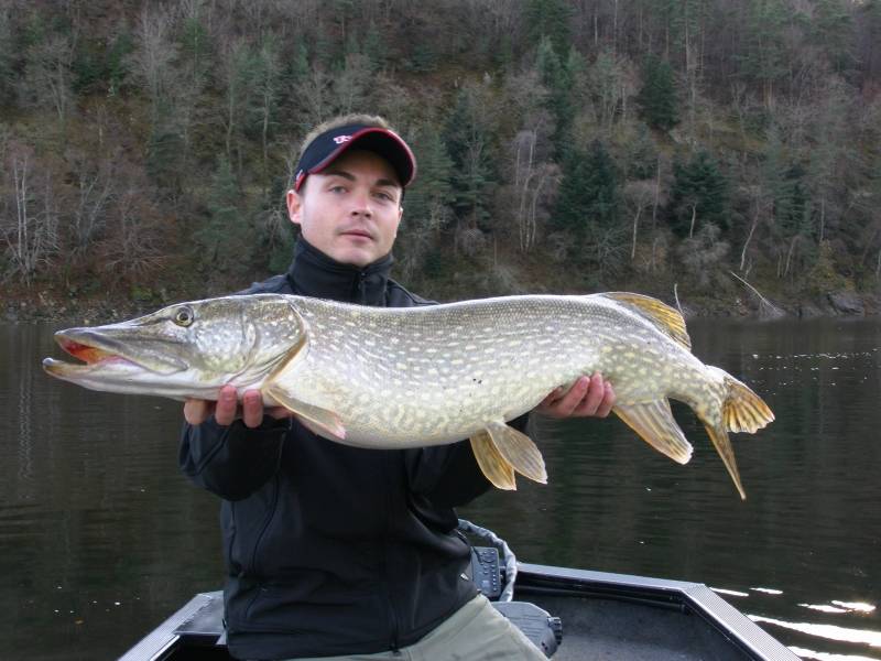 Pêche des carnassiers sur les lacs de barrage du Massif Central
