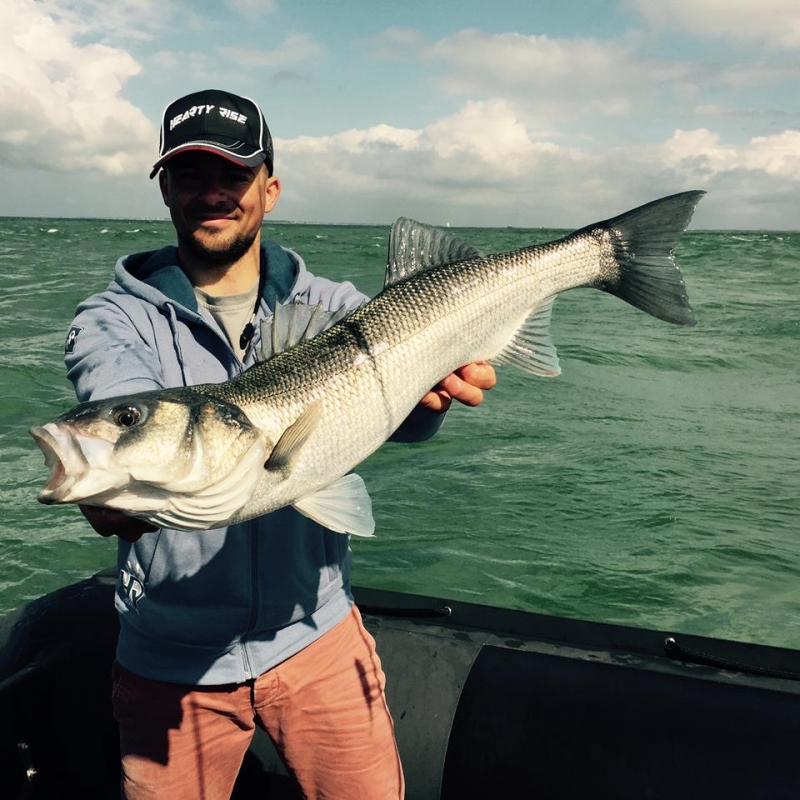 Pêche du bar dans le Morbihan