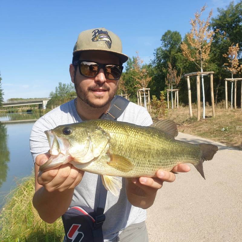 Pêche du black bass à Toulouse
