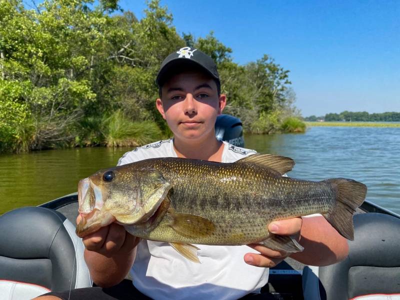 Pêche du black-bass dans les Landes