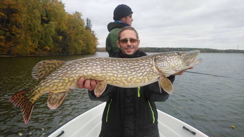 Pêche du brochet en Suède sur le Mälaren
