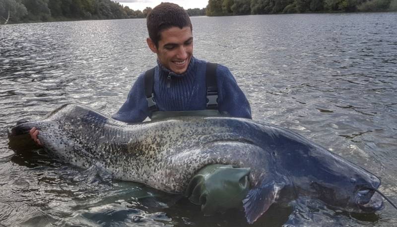 Pêche du silure aux Cassant sur le Doubs
