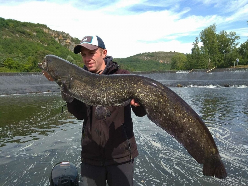 Pêche du silure sur le Lot
