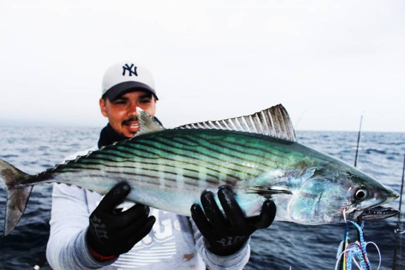 Pêche en jigging dans les Açores
