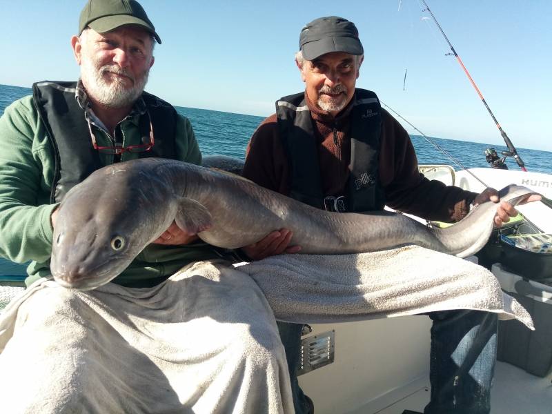 Pêche sur épave au bassin d'Arcachon