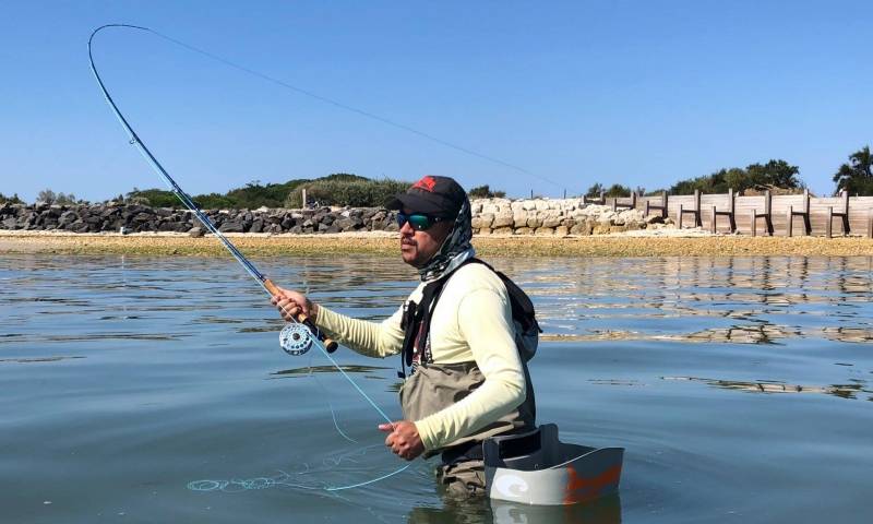 Pêche sur l'Île de Ré à la mouche
