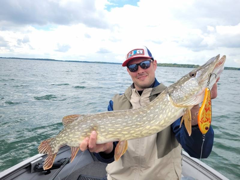 Stage de pêche au brochet et à la perche en bateau sur le Lac du Der avec vincent de bruyne guide de pêche
