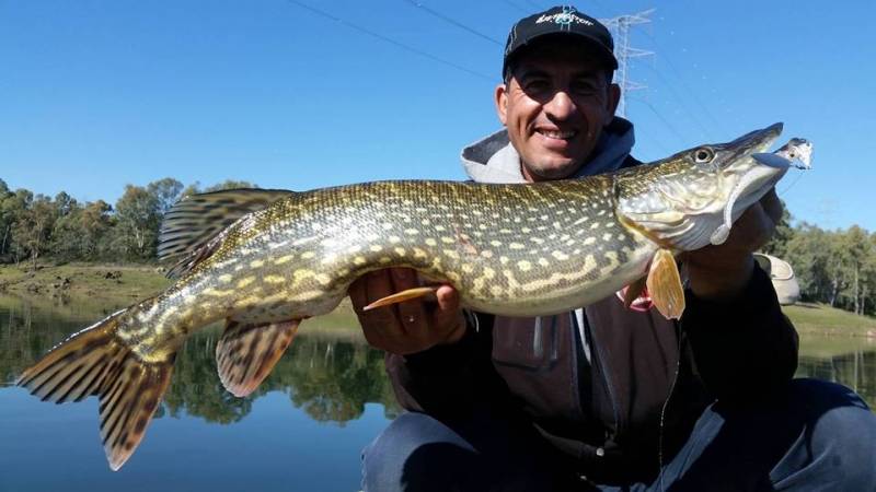 Stage de pêche des carnassiers dans l'Hérault et le Gard-1