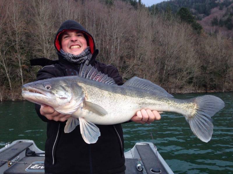 Stage de pêche des carnassiers dans l'Hérault et le Gard