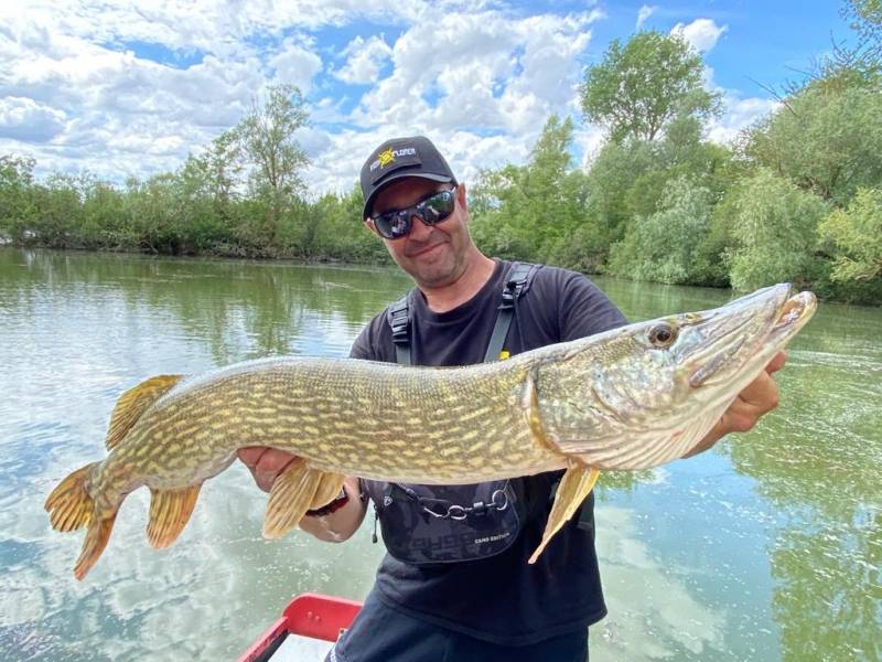 Guidage de pêche des carnassiers sur la Seine et l'Yonne
