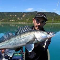 Pêche des carnassiers dans le Verdon
