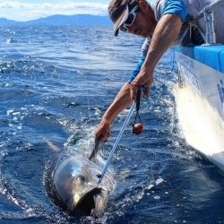 Roussillon Fishing
