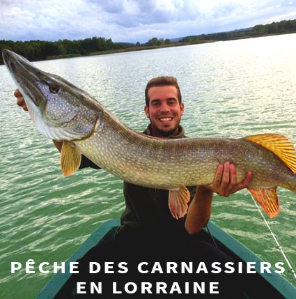 Stage de Pêche aux Carnassiers près de Poitiers - Vienne 86