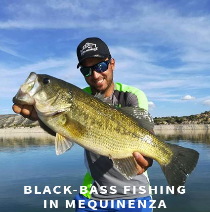 Book the best fishing guides for black bass fishing