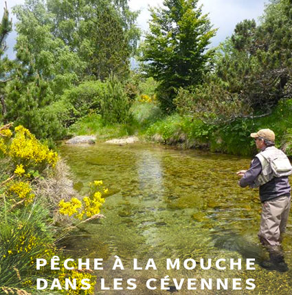 Trouver un guide de pêche à la mouche