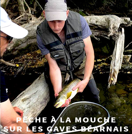 The Smooth Guide To Fly Fishing in France (Phil's Fishing Guide Books Book  3) See more