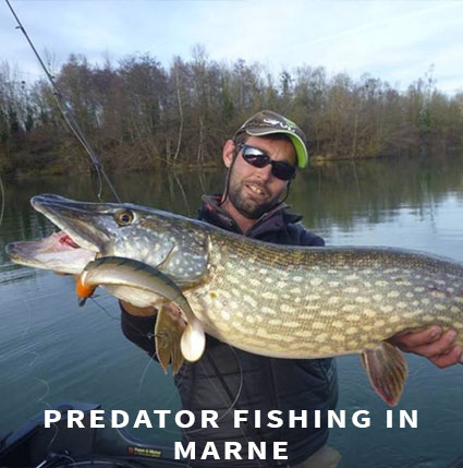 Predator Fishing Area - Paris Predator Fishing