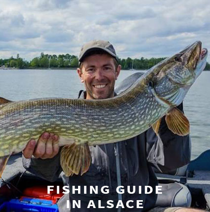 Book a fishing guide for pike fishing in France