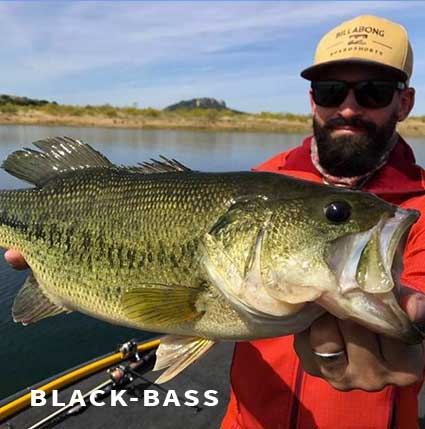 Guide de pêche au black bass
