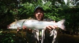 Salmon fishing in Brittany and Normandy