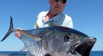 Tuna fishing in Spain