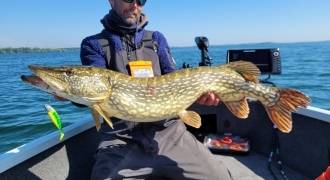 Stage de pêche des carnassiers en bateau