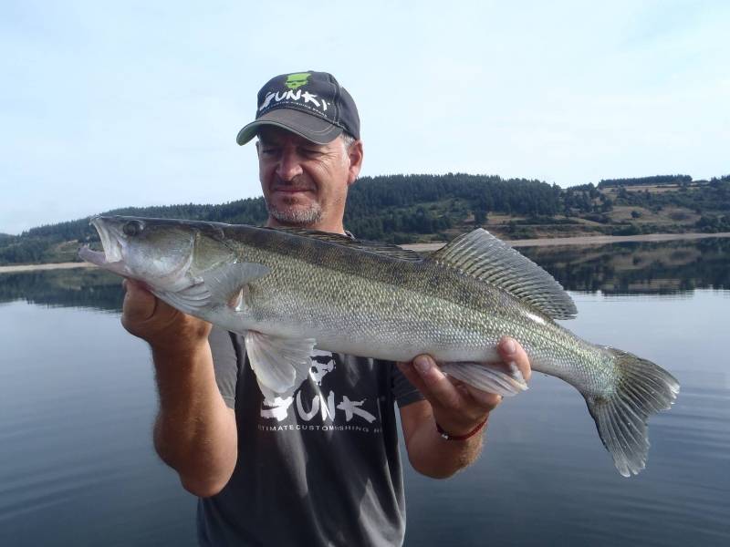 Predator fishing on the lake of Pareloup