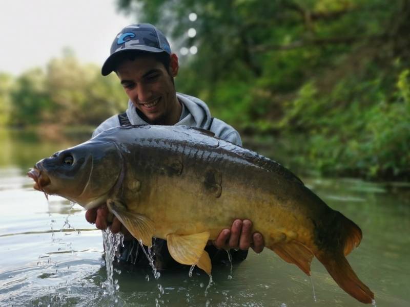 Pêche de la carpe en rivière