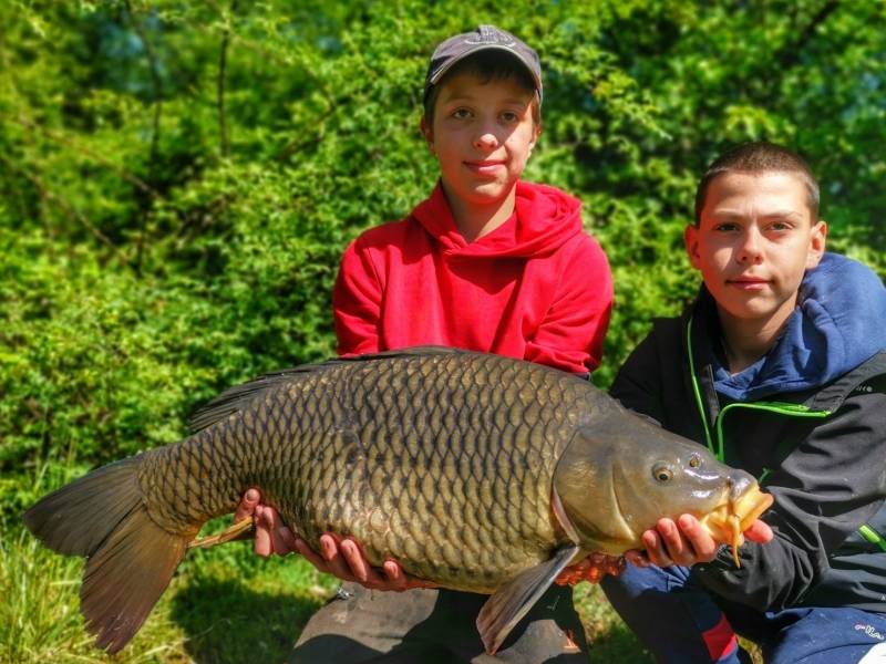 Pêche de la carpe en rivière