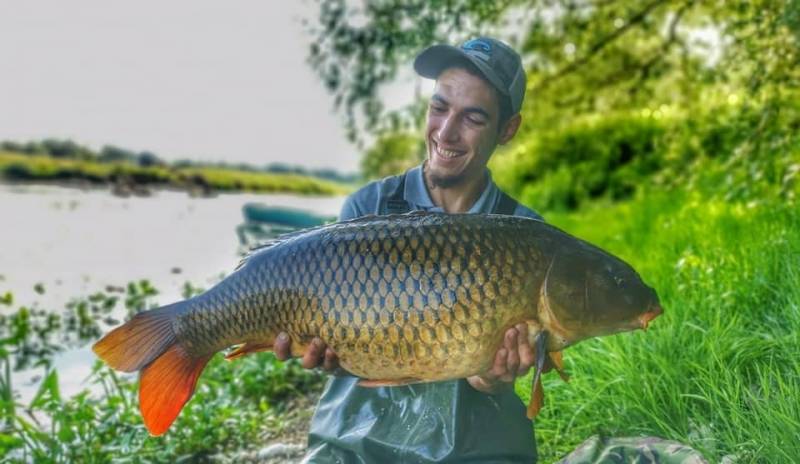 Pêche de la carpe en rivière