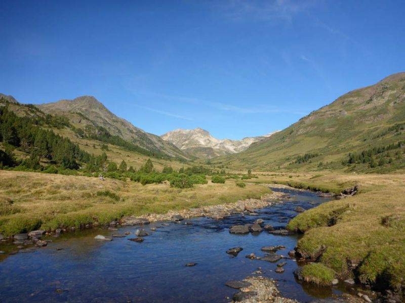 Pêche de la truite en rivière à la mouche