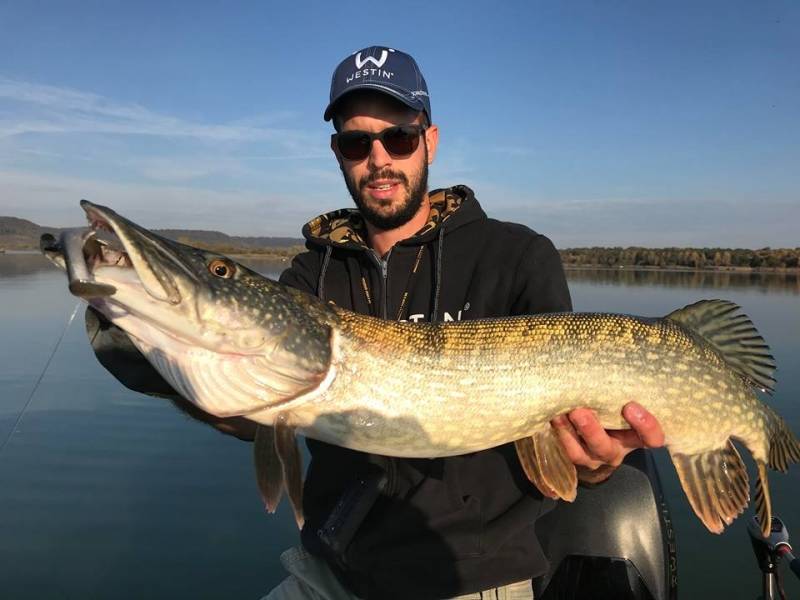 Il pêche la plus grosse carpe de l'histoire du lac de Madine