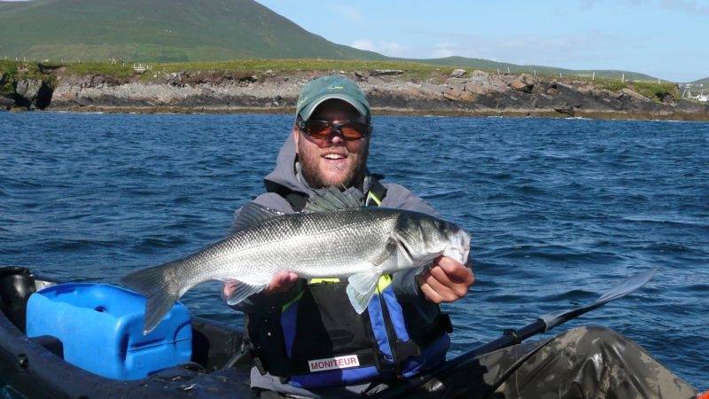 Sea bass fishing in Ireland