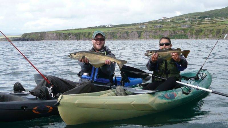 Sea bass fishing in Ireland