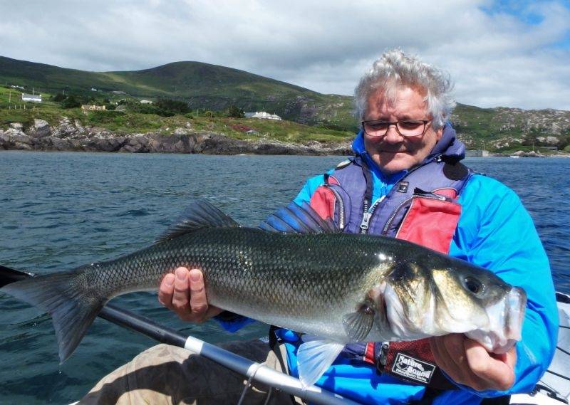 sea bass  Game Fishing Ireland