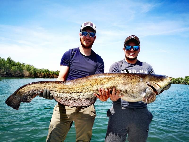 Fishing catfish in the river Rhone